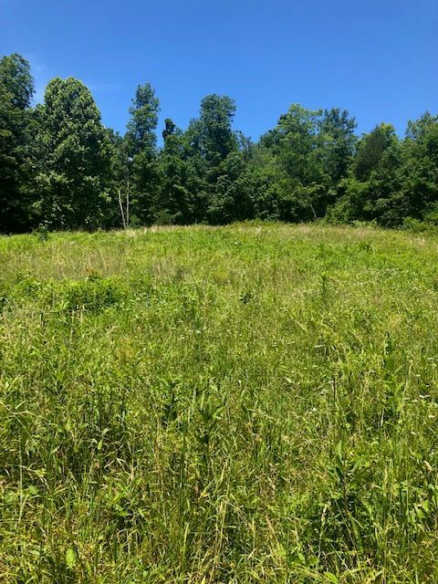 1915 Mount Zion Rd, Frankfort, KY 40601